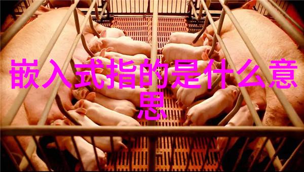 智联赢魏来 共创新 2025魏德米勒经销商大会举行